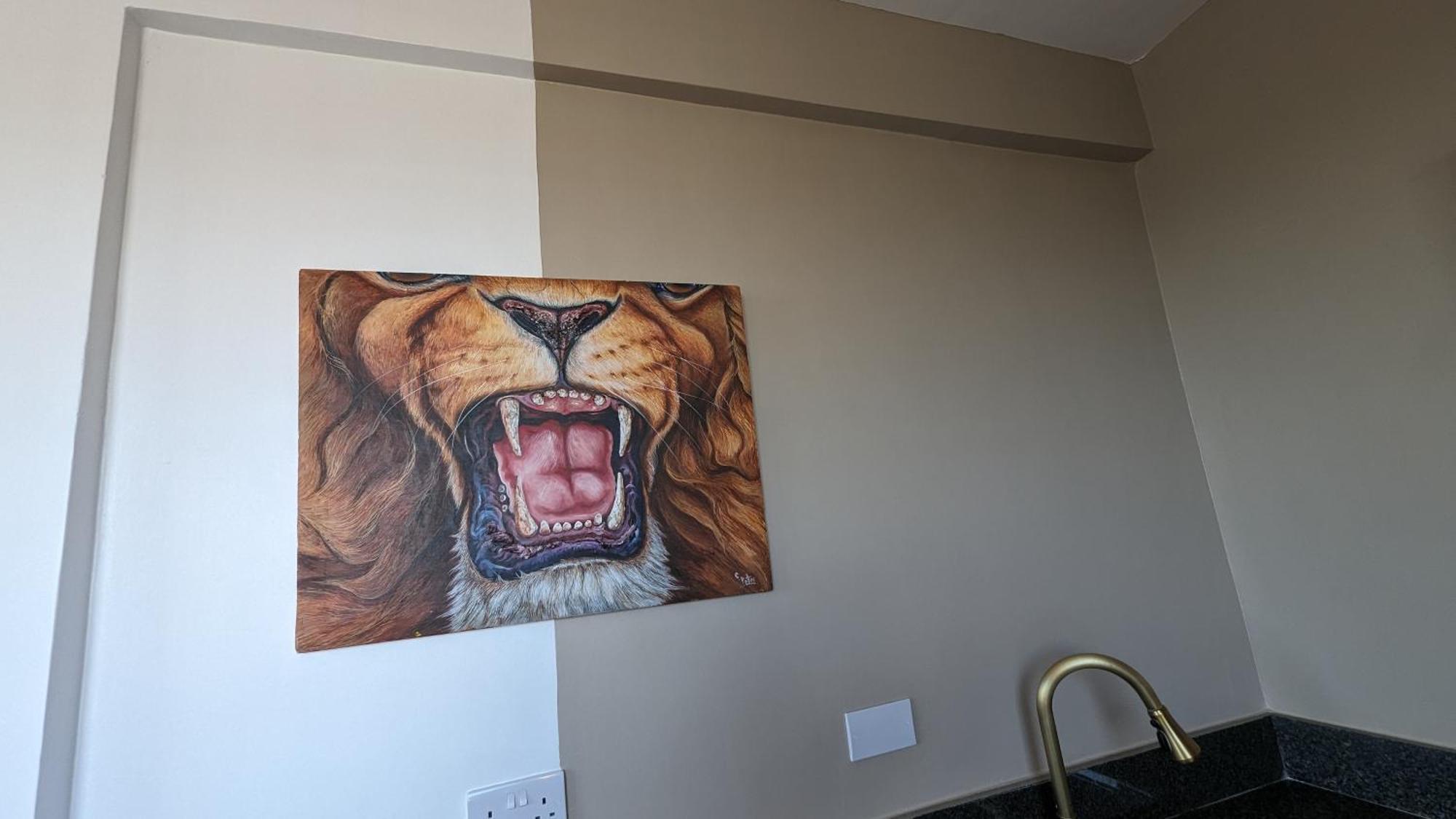 Mufasa City Hostel And Apartments アルーシャ 部屋 写真